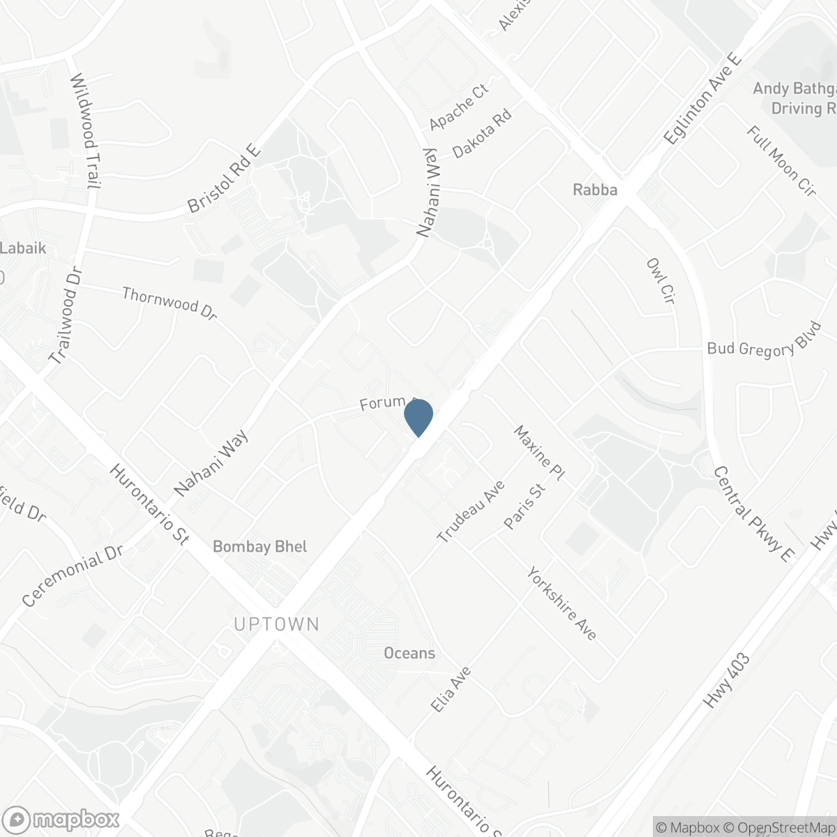 220 FORUM Drive Unit# 301, Mississauga, Ontario L4Z 4K1